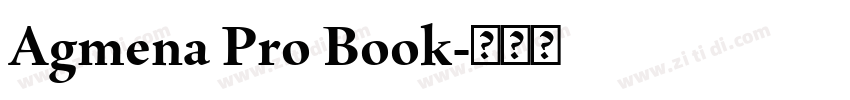Agmena Pro Book字体转换